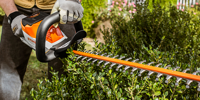 Shrub / Bush Trimming